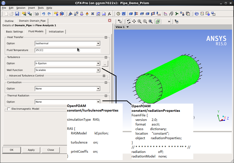 CFX Gui - Basic Settings