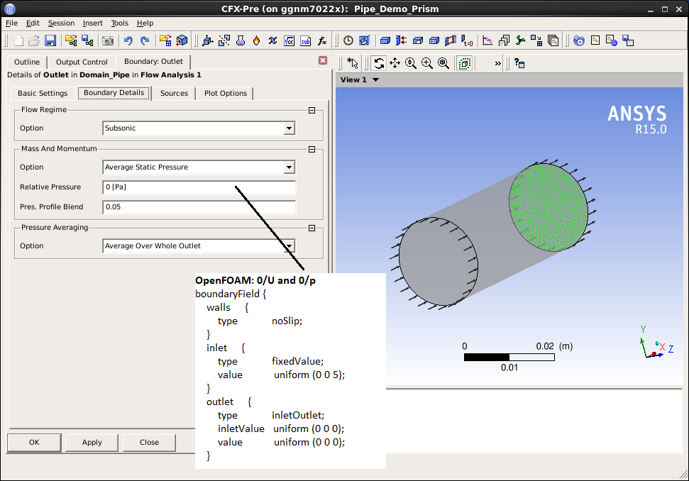 CFX Gui - Basic Settings