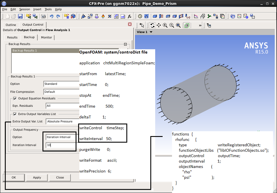 CFX Gui - Basic Settings