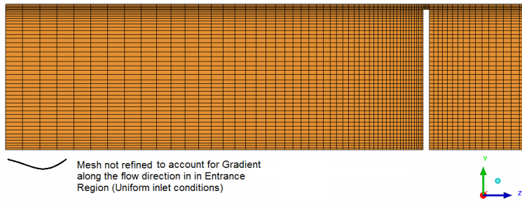 Mesh in Entrance Region