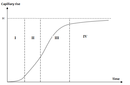 Four phases of capillary rise