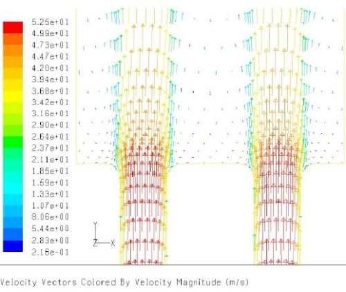 Vector Plot