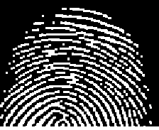 fingerprint after final erosion