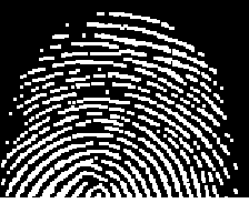 fingerprint after first dilation