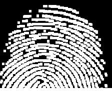 fingerprint after second dilation