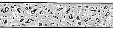 Bubbly Flow - Gas Liquid