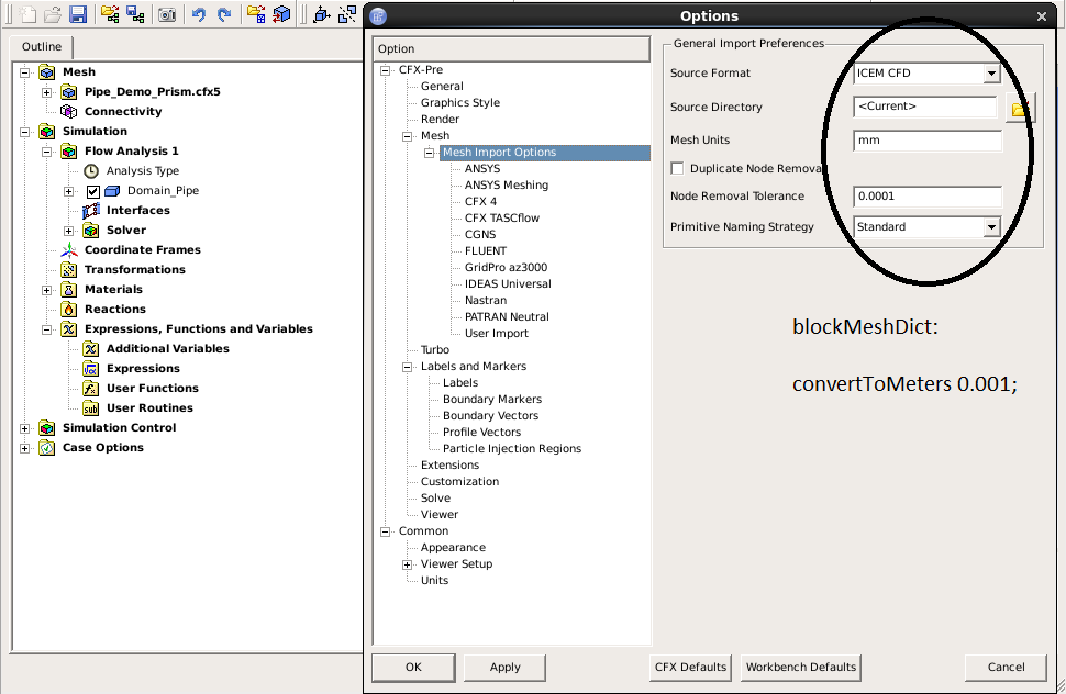 CFX Gui - Basic Settings