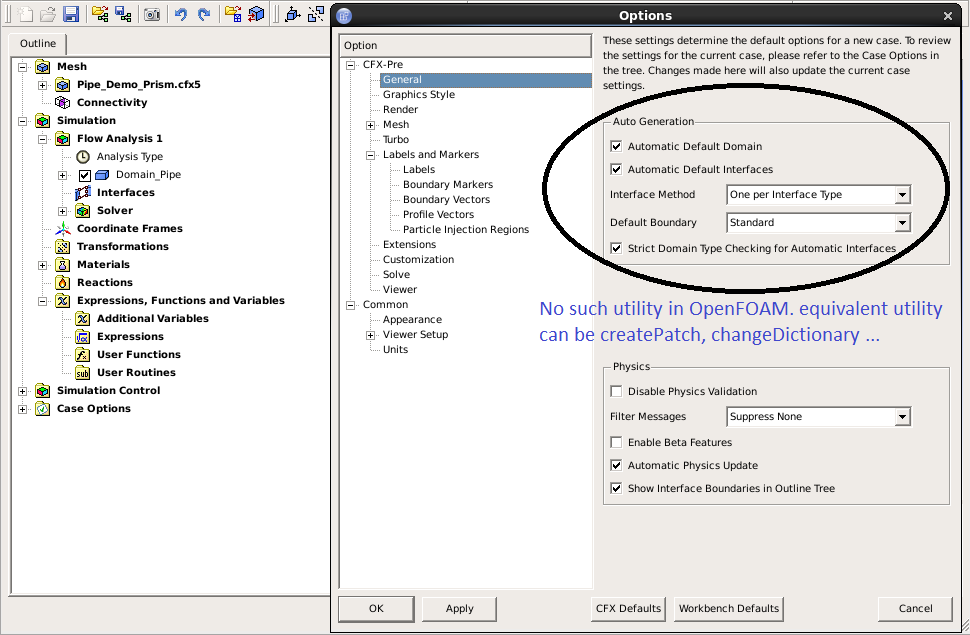 CFX Gui - Basic Settings